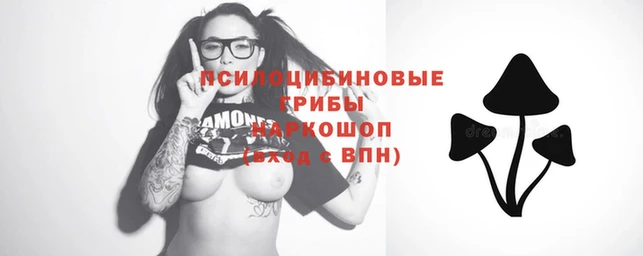твердый Алексеевка