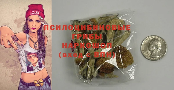 твердый Алексеевка